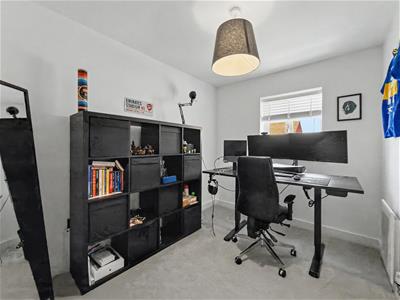 Picture 15